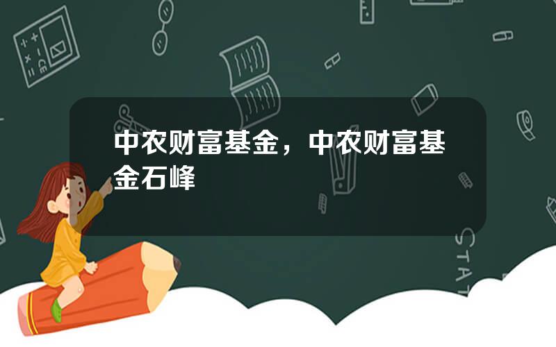 中农财富基金，中农财富基金石峰