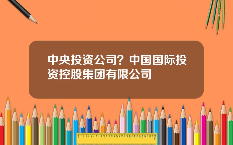 中央投资公司？中国国际投资控股集团有限公司