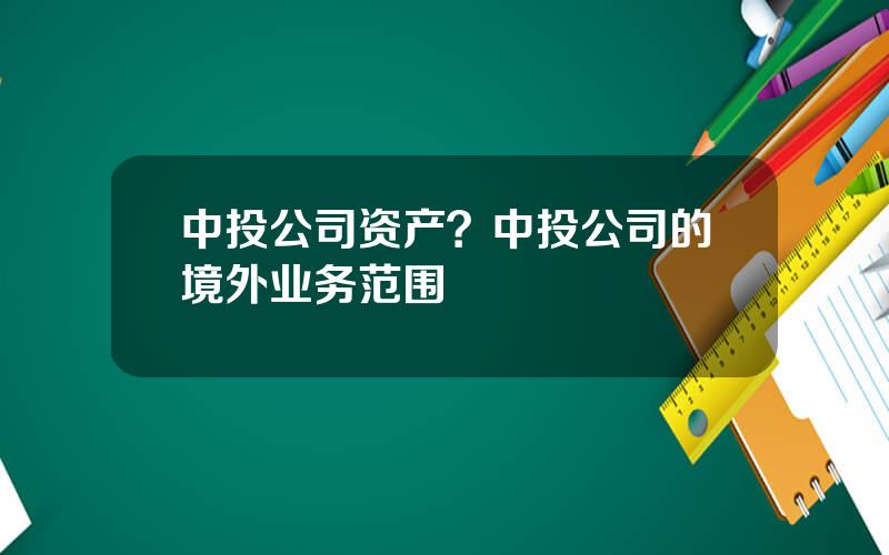 中投公司资产？中投公司的境外业务范围