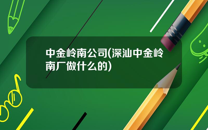 中金岭南公司(深汕中金岭南厂做什么的)