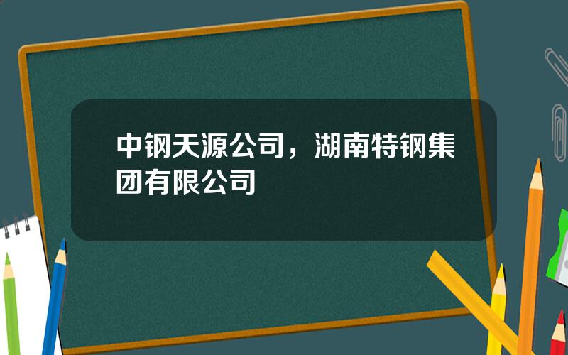 中钢天源公司，湖南特钢集团有限公司