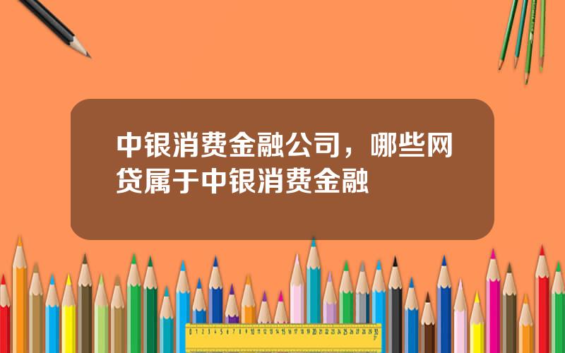 中银消费金融公司，哪些网贷属于中银消费金融