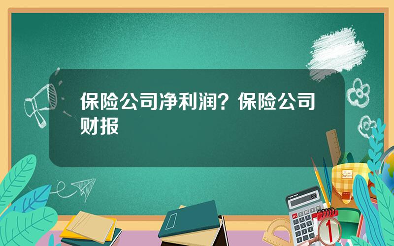 保险公司净利润？保险公司财报