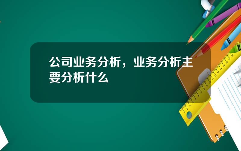 公司业务分析，业务分析主要分析什么