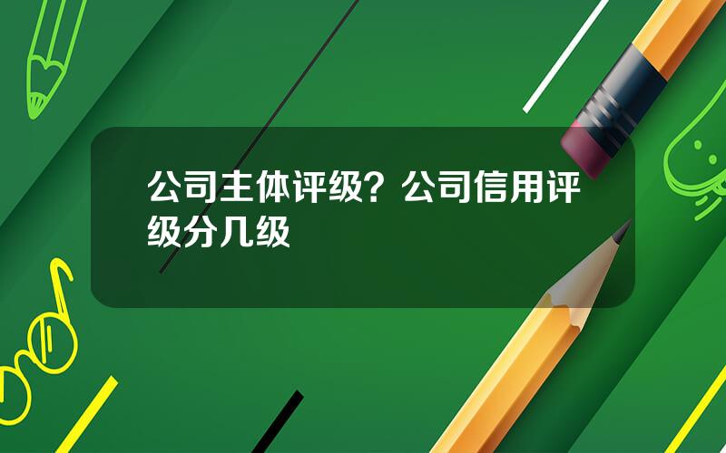 公司主体评级？公司信用评级分几级