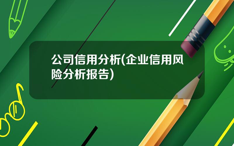 公司信用分析(企业信用风险分析报告)