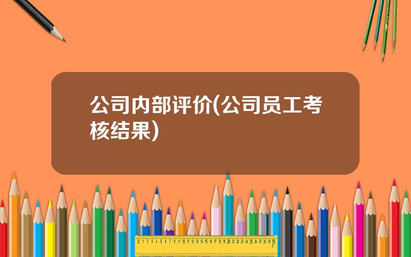 公司内部评价(公司员工考核结果)