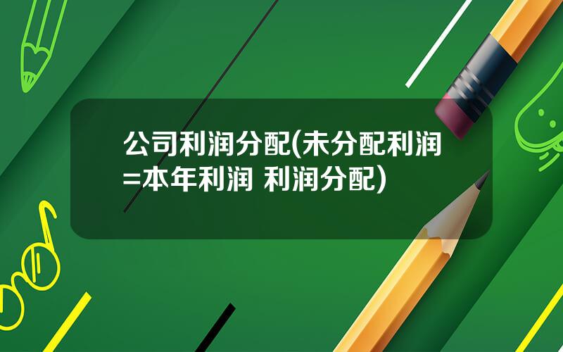 公司利润分配(未分配利润=本年利润+利润分配)