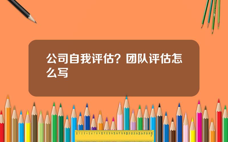 公司自我评估？团队评估怎么写