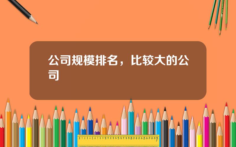 公司规模排名，比较大的公司