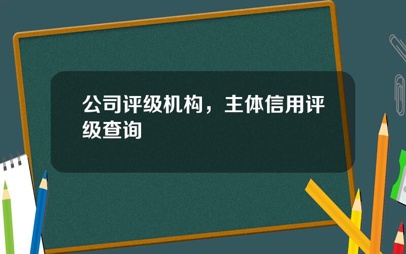 公司评级机构，主体信用评级查询