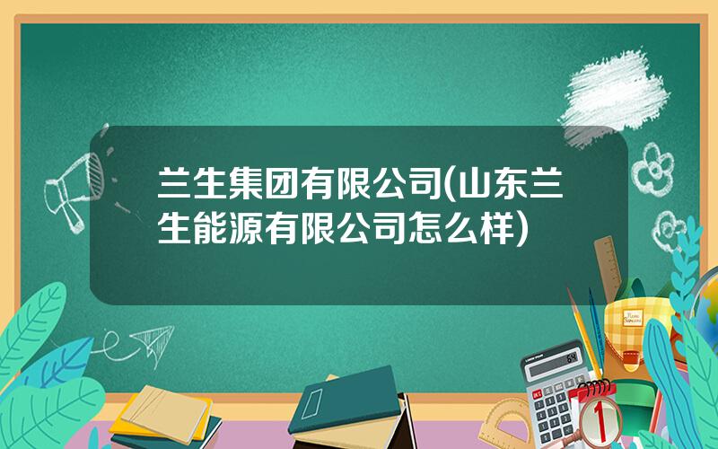 兰生集团有限公司(山东兰生能源有限公司怎么样)