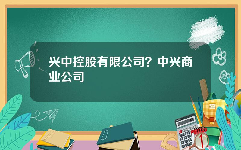 兴中控股有限公司？中兴商业公司