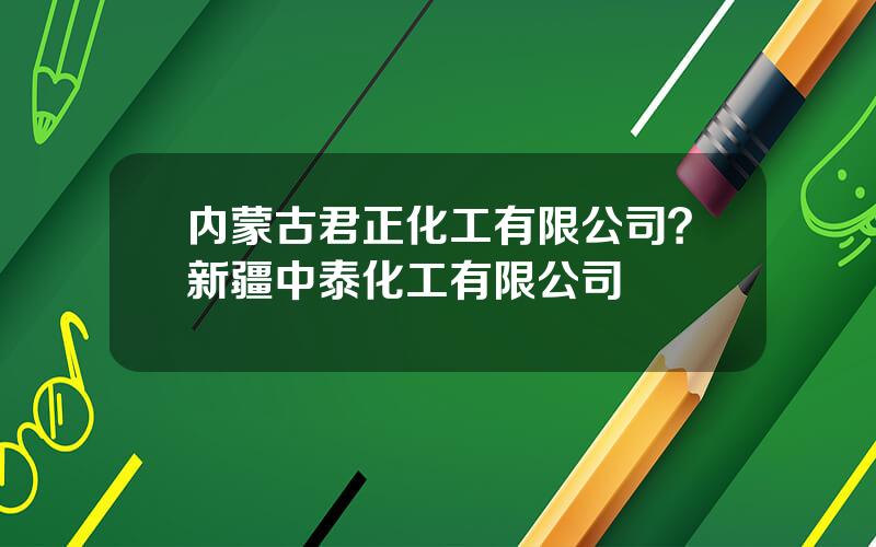 内蒙古君正化工有限公司？新疆中泰化工有限公司