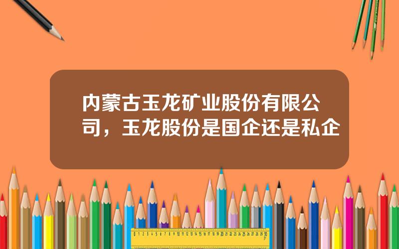 内蒙古玉龙矿业股份有限公司，玉龙股份是国企还是私企