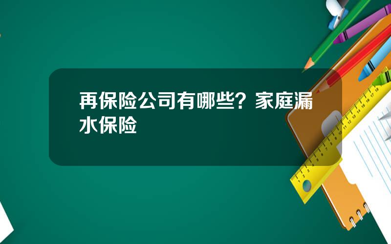 再保险公司有哪些？家庭漏水保险