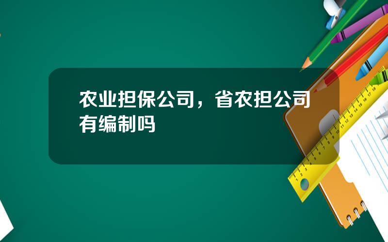 农业担保公司，省农担公司有编制吗