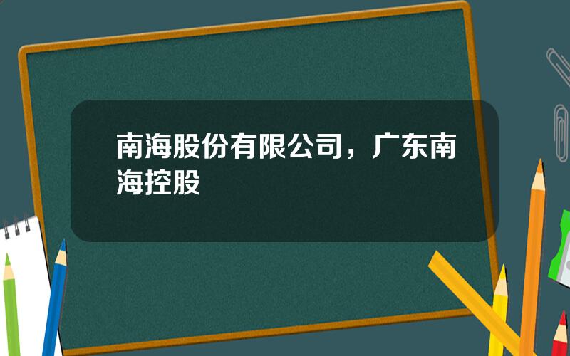 南海股份有限公司，广东南海控股