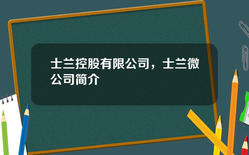 士兰控股有限公司，士兰微公司简介