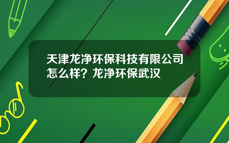 天津龙净环保科技有限公司怎么样？龙净环保武汉