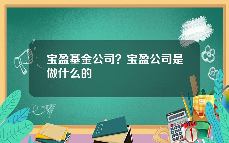 宝盈基金公司？宝盈公司是做什么的