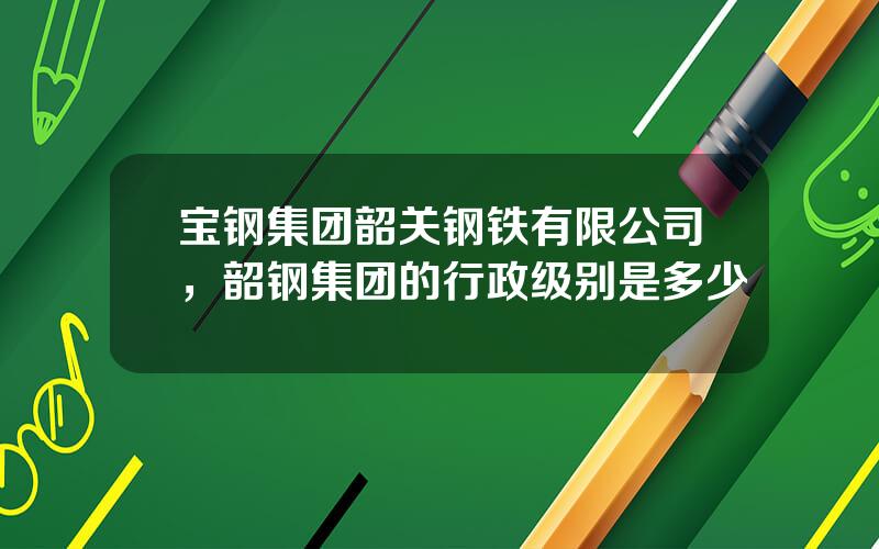 宝钢集团韶关钢铁有限公司，韶钢集团的行政级别是多少