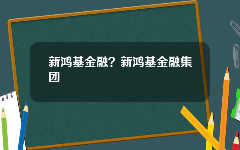 新鸿基金融？新鸿基金融集团