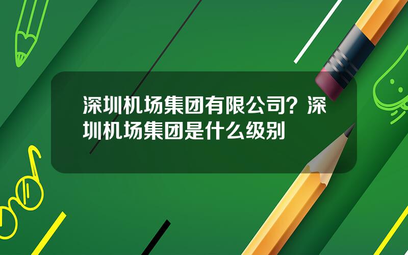 深圳机场集团有限公司？深圳机场集团是什么级别